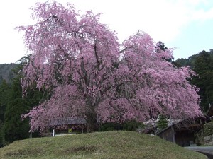 京都駅から常照皇寺へのアクセス